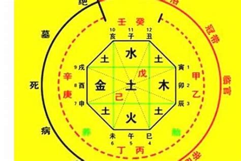 五行測算|生辰八字算命、五行喜用神查詢（免費測算）